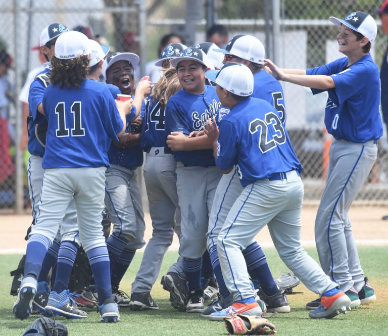 District 42 Little League teams once again counted among best in