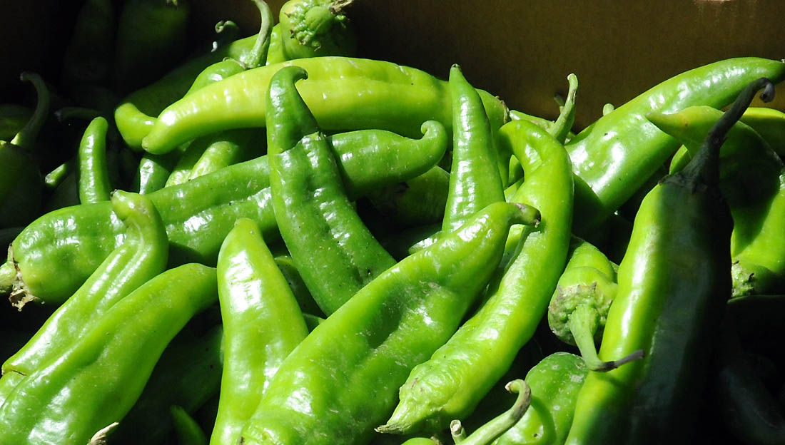 Sprouts Farmers Market set to celebrate Hatch chile roasting season ...