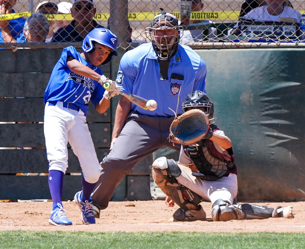 Photos: Torrance All-Stars at the 2021 Little League World Series – Orange  County Register